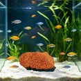 thumbnail image 3 of Tarmeek Aquarium Coral Ornament Resin Cave Hideout for Fish Tank Decor Medium Multicolor Hollow Design Safe for Betta Rest Hide Play Breed 16x10cm Easy to Clean, 3 of 7