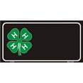 thumbnail image 1 of 4 H Noms Sans Plaque d'Immatriculation Offset sur Plaque, 1 of 1
