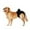 Black, variant on kladzum Dog Diapers Dogs Physiological Pants Sanitary Diaper Menstruation Underwear Briefs Dog Accessories