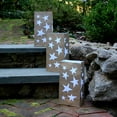 thumbnail image 6 of Paper Luminaria Bags - Set of 24, 6 of 11