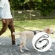 thumbnail image 3 of Methold Correa reflectante brillante para perro, ajustable, versátil para perros pequeños y medianos, Collar de perro con correa de nailon Suministros para perros café, 3 of 6
