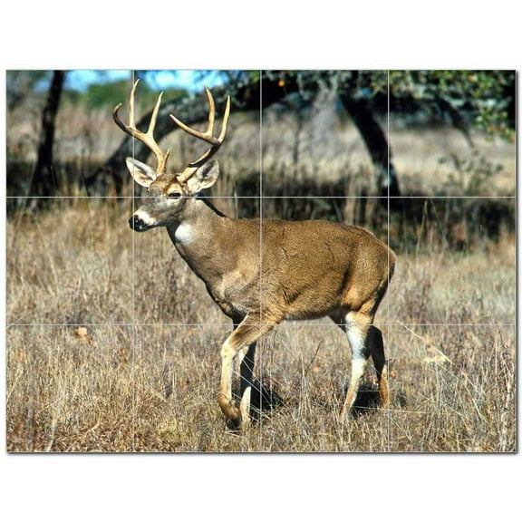 Deer Ceramic Tile Mural Kitchen Backsplash Bathroom Shower 402784-S43
