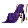 thumbnail image 5 of Deconovo Halloween Throws Sherpa Plush Blanket, 60x80 inch Purple, Machine Washable, Solid & Traditional, 5 of 7