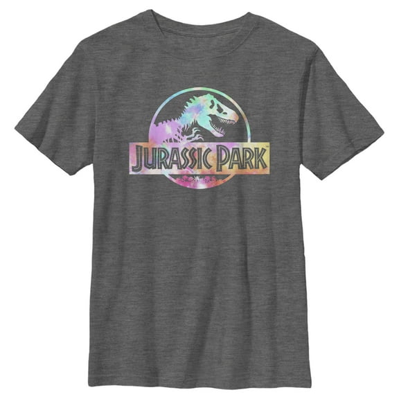 Boy's Jurassic Park Pastel Tie-Dye Logo Graphic Tee Charcoal Heather Small