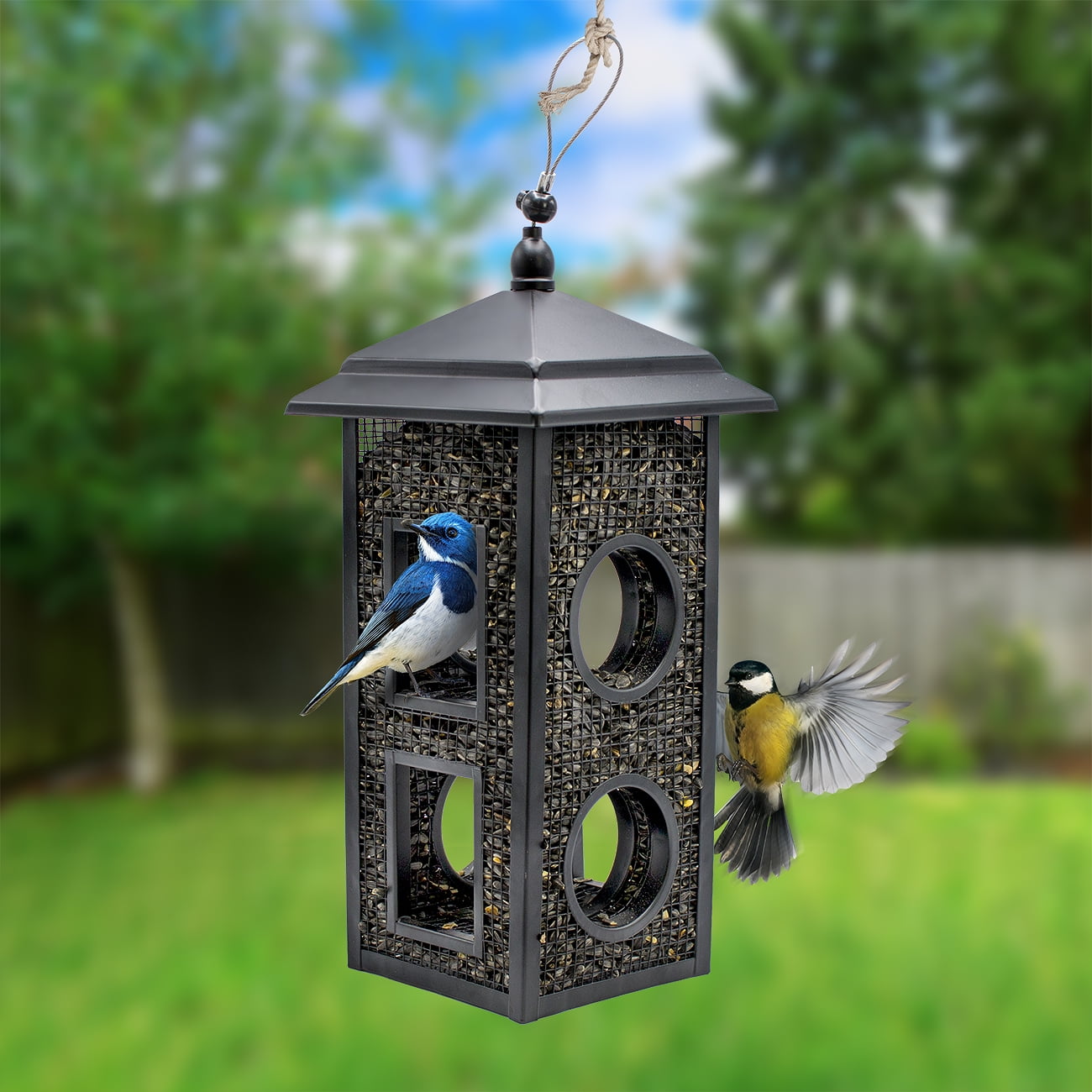 Sorbus Bird Feeder Circular Perch Hanging Feeder Bird Seed More