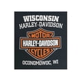 thumbnail image 2 of Harley-Davidson Mens Screamin' Eagle Short Sleeve Crew-Neck T-Shirt, Black (3XL), Harley Davidson, 2 of 2