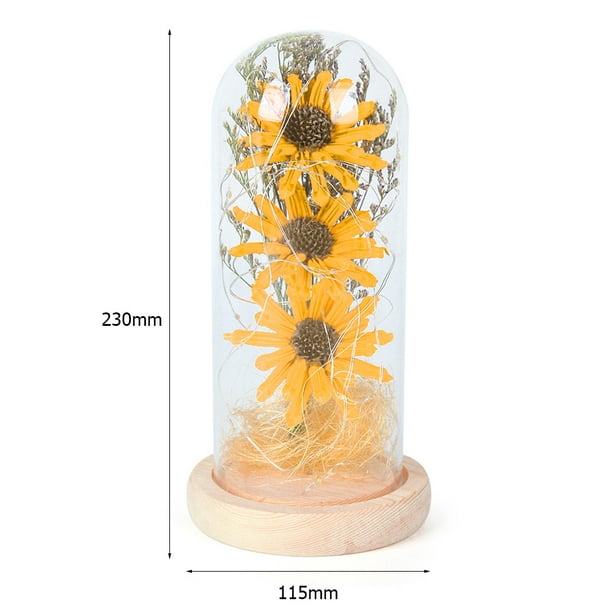 Peggybuy Dried Sunflower In Glass Dome With Warm Yellow String Night Light (Yellow) Yellow 230*115*115mm