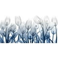 thumbnail image 2 of Koetsier, Albert 32x18 White Modern Wood Framed Museum Art Print Titled - Midnight Blooms 1, 2 of 4
