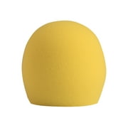 A58WS Windscreen