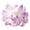 A, variant on UYUH Random 3D Stereo Resin Craft Desktop Decor Ornament,Nine Tailed Fox Desktop 3D Small Ornament Resin Craft(Purple)cute Collectible Toys Desktop Ornaments Birthday Gifts