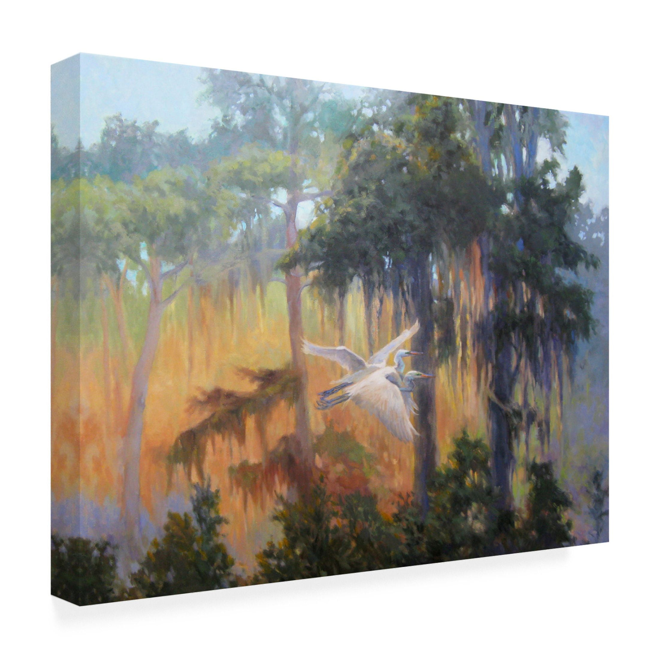Canvas Wall Art - Sandy Nelson 'Into The Light' Wall Art for Living Room, Bedroom, or Office Décor by Trademark Fine Art - 19 x 14 Inches