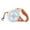 Orange, variante sur Hearth & Gear Laisse pour Chien à Lumière DEL Laisse Articles pour Chiot 100 Pieds Laisses pour Grands Chiens Laisse à Chaîne pour Chien Location pour Chien Grand Chien Chandail avant Noël pour Chien Laisse à Chaîne pour Chien Laisse pour Chien avec Deux Poignées