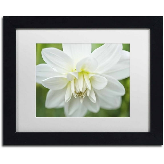 Trademark Fine Art 'White Dahlia' Canvas Art by Cora Niele, White Matte, Black Frame