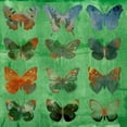 thumbnail image 3 of Jasper, Sisa 12x12 Black Modern Framed Museum Art Print Titled - Butterflies on Green, 3 of 5