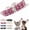 Purple, variant on 1Pack Pearl Dog Collar,Bling Rhinestone Crystal Luxury Beaded Puppy Necklace Fancy Pretty Cute Small Dog Collars Diamond Jewel for XXS XS Small Medium Female Girls Kitten Pet