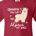 thumbnail image 4 of Inktastic Grandma's You Say Alpaca My Bags Youth T-Shirt, 4 of 5