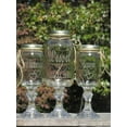 thumbnail image 3 of Ball 1 qt Freeze Glass Wide Mouth Canning Jar (12 Count), 3 of 9