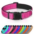 thumbnail image 2 of Collar reflectante para perros, suave, acolchado, transpirable, con rayas de seguridad, ajustable, bonito collar para cachorros, para perros pequeños, medianos y grandes, 2 of 5