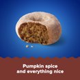 thumbnail image 4 of Tastykake Pumpkin Spice Flavored Mini Donuts, Shareable Pumpkin and Cinnamon Donuts, 10 oz Bag, Shelf-Stable, 4 of 14