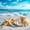 Cream Blue, variant on Castle Fairy Dramatic Cloud Surf Shore Twin Comforter Sets 2pcs,Sun Glow Reflective Sand Ocean Art Bedding Set,Indigo Peach,Grey Reversible,1 Comforter and 1 Pillowcase