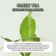 thumbnail image 5 of Ganfancp Vc Limpiador Facial para Limpiar Los Poros, Controlar La Grasa, Hidratar E Iluminar 80Ml Ofertas Del Día 1X Limpiador de Té Verde, 5 of 7