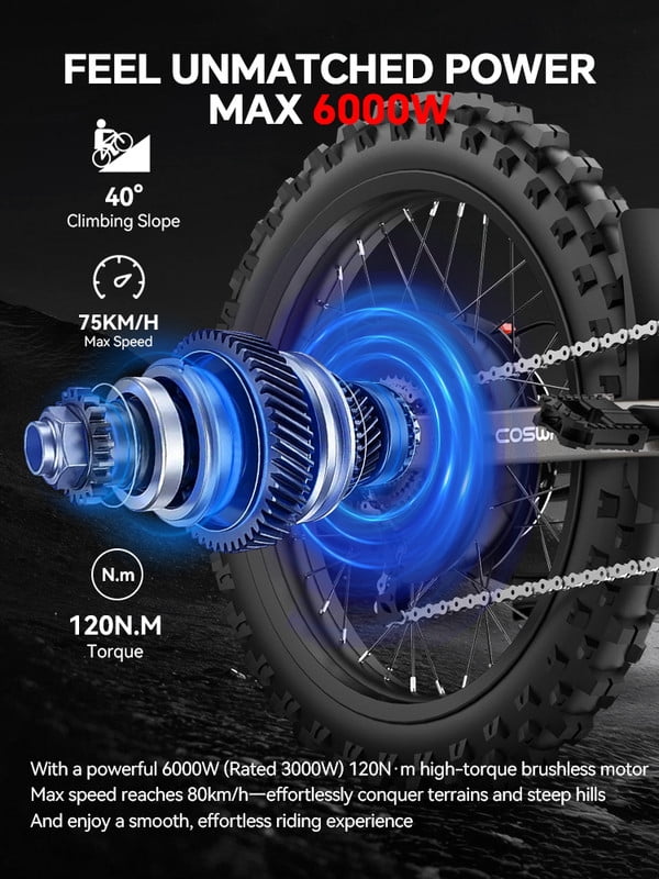 Electric Dirt Bike 6000W Peak 72V Motor, 40Ah Battery, 46 MPH, 120N.m Torque, 40° Climbing, Fat Tire Off Road Electric Bike