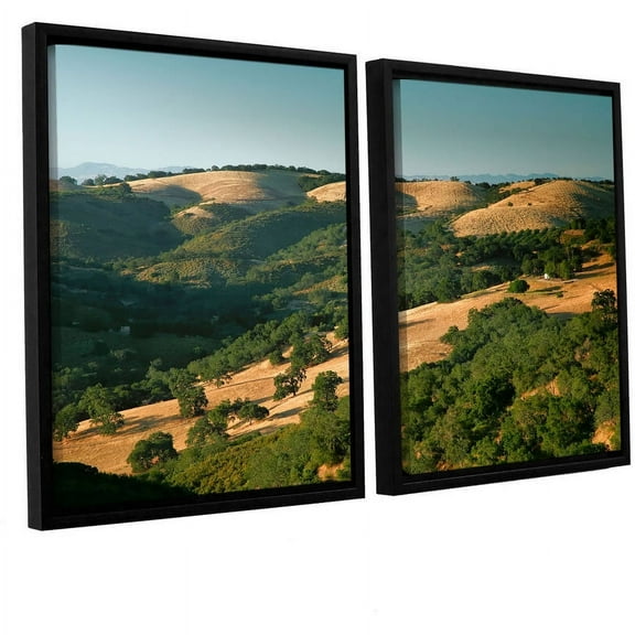 ArtWall Steve Ainsworth "Hills of California" 2-Piece Floater Framed Canvas Set