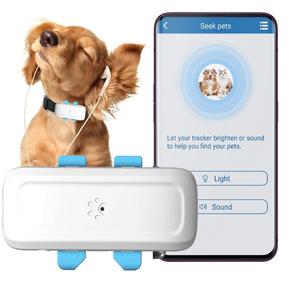 activity tracker for dogs