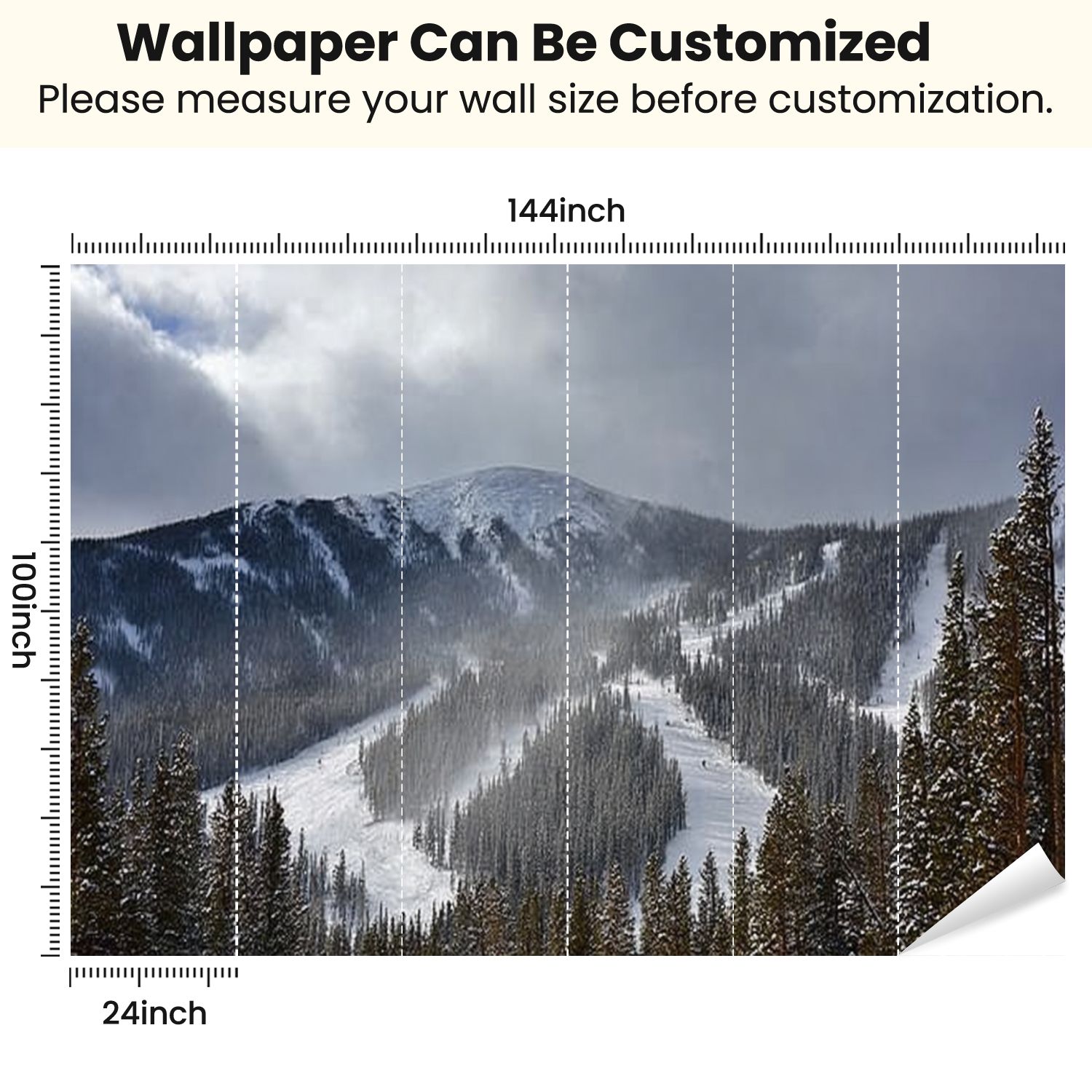 Peel and Stick Wallpaper winter park ski area skiings Modern Art Wall Mural Decor Self Adhesive and Removable 100in x 144in