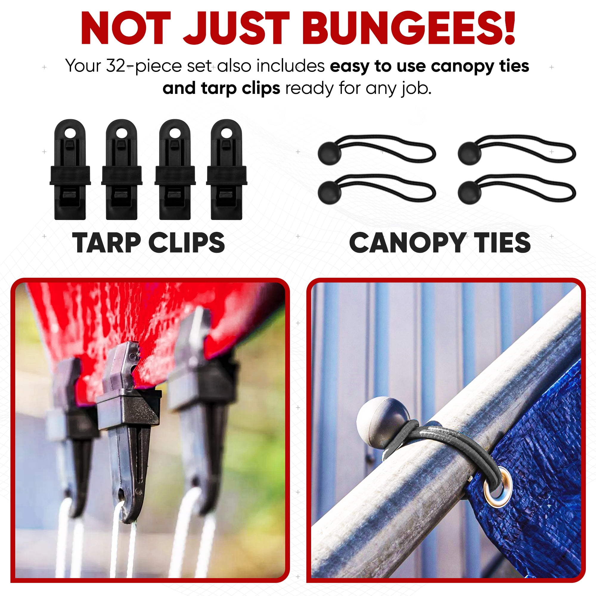 FORTEM Bungee Cord Assortment, 32pk Bungee Cords Multi Pack, Includes 10", 18", 24", 32", 40" Bungees and 8" Canopy/Tarp Ball Ties, Plastic Coated Metal Hooks