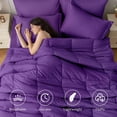 thumbnail image 3 of Cooling Comforter Queen Size, Down Alternative Duvet Insert with Corner Tabs, All Season Soft Quilted Bed Comforter, Lightweight Bedding for Women & Men, Purple, 3 of 5