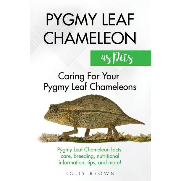 Pygmy Leaf Chameleons as Pets : Pygmy Leaf facts, care, breeding,  nutritional information, tips, and more! Caring For Your Pygmy Leaf  Chameleons (Paperback) 