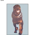 thumbnail image 1 of 48 Pcs, 24" x 34" Rottweiler Dog Split Second Target, 1 of 1