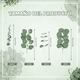 thumbnail image 2 of 30p Hojas De Eucalipto Artificial 4 Tipos Plantas Para Ramo Xtellar Verde, 2 of 3