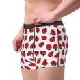 thumbnail image 2 of Kdxio Men's Boxer Briefs with Ladybug On Blue Stripes Print - Comfortable and Breathable Underwear for Everyday Wear, 2 of 5