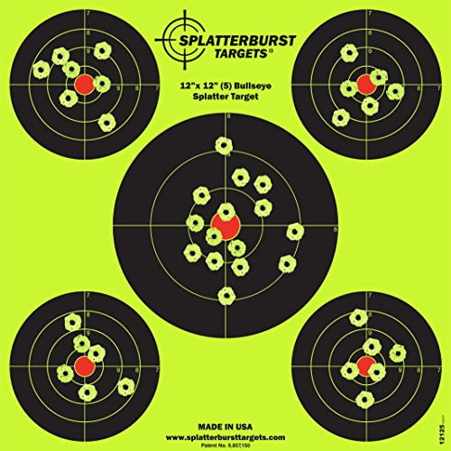 5 Bullseye for Target Shooting w/ People Reduced Vision & Great Idea