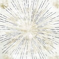 thumbnail image 3 of Allen, Kimberly 20x20 Black Modern Framed Museum Art Print Titled - Sun Light 2, 3 of 5