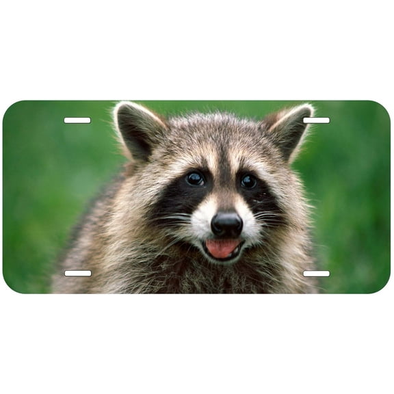 Raccoon Novelty Car Auto License Plate