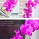 thumbnail image 5 of Flores artificiales de Phalaenopsis de 37 6 piezas de flores artificiales de orquídea con tallo para decoración del hogar, púrpura, 5 of 6