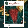 thumbnail image 5 of Christmas Artificial Glitter Berry Stem Xmas Picks Glittery Twigs Branches 17 inch Decorative Bead Sticks Topboutique Christmas Picks for Christmas Tree Gift Vase Decor Party Ornaments 12 Pcs Red, 5 of 7