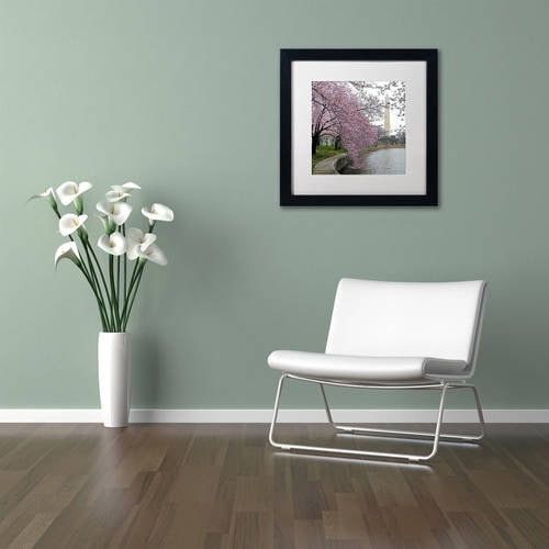 Trademark Fine Art "Washington Blossoms" Canvas Art by CATeyes, White Matte, Black Frame