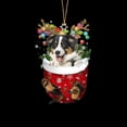 thumbnail image 4 of Calcetines de perro de Feliz Navidad, medias de Navidad, colgante de árbol de Navidad, decoraciones para el hogar, bolsa de regalo de dulces de Año Nuevo, 4 of 4