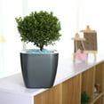 thumbnail image 2 of 3 Packs 7 Inches Large Self Watering Planters Plastic Self Watering Pots Wicking Flower Pots for Indoor Plants, African Violet, Ocean Spider Plant, Orchid, Black Gold, 2 of 7