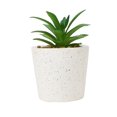 thumbnail image 1 of Anko Artificial Succulent #1 in Pot, 1 of 5