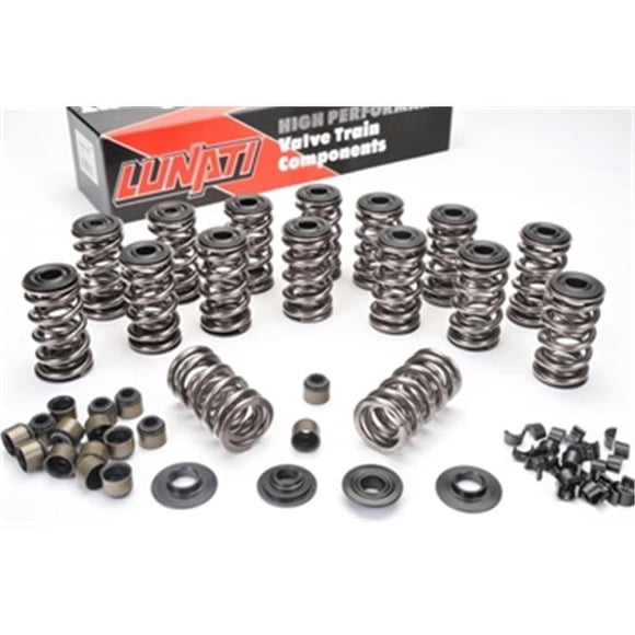 Lunati LNT73925K1 1306 Valve Spring Kit
