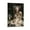 Frame-style, variant on Victoria Frances Vampire Girl Poster Posters Art Print Wall Photo Paint Poster Hanging Picture Family Bedroom Decor Gift 24x36inch(60x90cm)