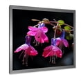 thumbnail image 2 of Designart "Fuchsia Petals in Pink and Purple Blooms" Floral Framed Wall Art Decor - Traditional Pink Fuschia Hallway Framed Wall Art Decor, 2 of 6