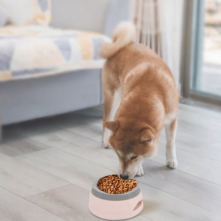 Pet Supplies Dog Water Bowl Non Spill Design with Non Bottom 750mL 25oz Slow Water Feeder for Dogs Cats Indoor Outdoor Use for Gentle Hydration
