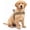 Khaki, variant on Escape Proof No Pull Tactical Dog Harness, Reflective Adjustable Vest With Handle, Front Clip & Sturdy D-Ring For Dog Walking And Training