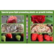 Hywyimlait 5.8 in 13 W LED 3-Way Indoor Grow Lights, Red+Blue+Yellow
